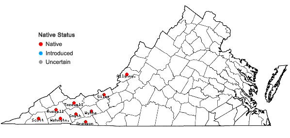 Locations ofBazzania denudata (Torr. ex Gottsche, Lindenb. & Nees) Trevis. in Virginia