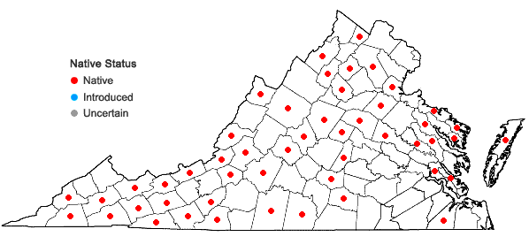 Locations ofBazzania trilobata (L.) Gray in Virginia
