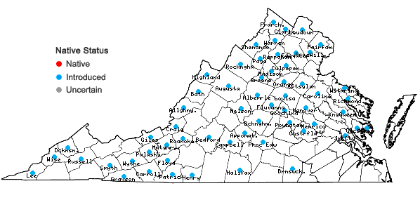 Locations ofBerberis thunbergii DC in Virginia