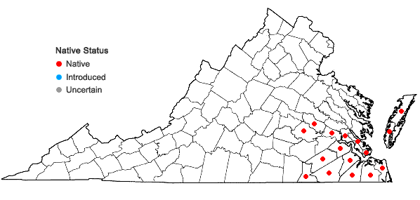 Locations ofBerchemia scandens (Hill) K.Koch in Virginia