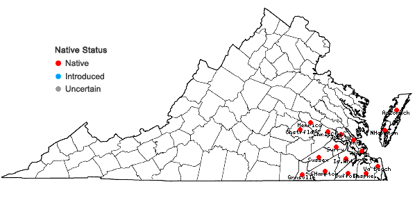 Locations ofBerchemia scandens (Hill) K.Koch in Virginia