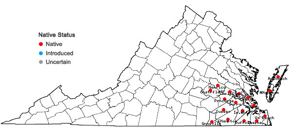 Locations ofBerchemia scandens (Hill) K.Koch in Virginia