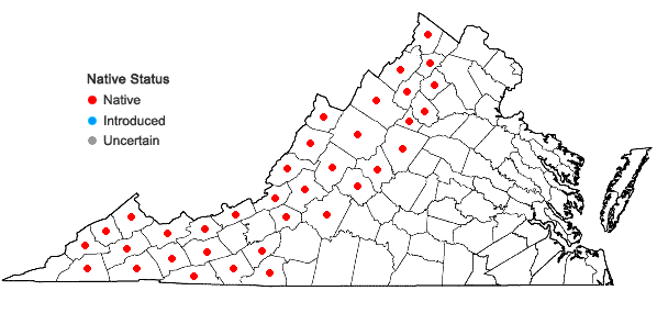 Locations ofBetula alleghaniensis Britt. in Virginia