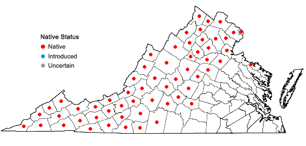 Locations ofBetula lenta L. var. lenta in Virginia