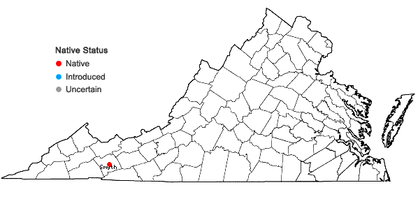 Locations ofBetula lenta L. var. uber Ashe in Virginia