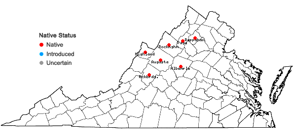 Locations ofBetula papyrifera Marshall in Virginia