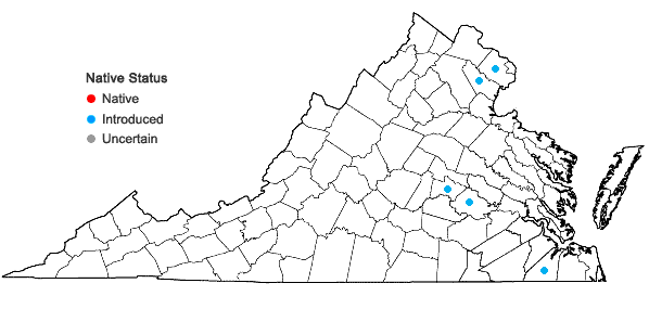 Locations ofBidens alba (L.) DC. in Virginia