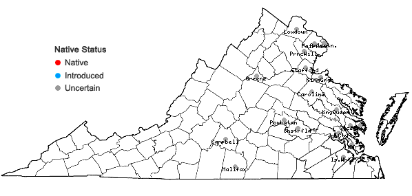 Locations ofBidens aristosa (Michx.) Britt. in Virginia