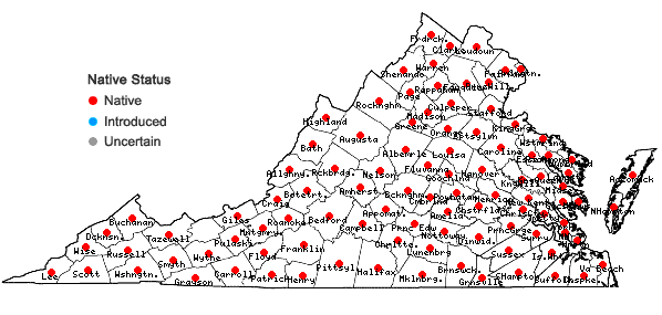 Locations ofBidens bipinnata L. in Virginia