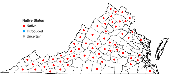 Locations ofBidens cernua L. in Virginia