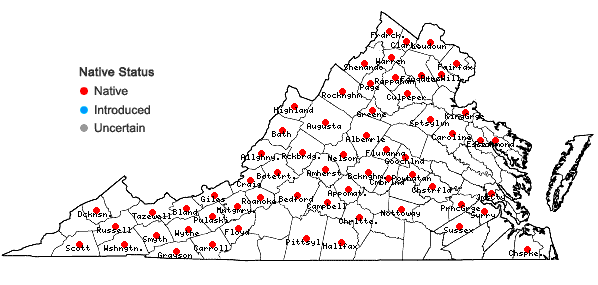 Locations ofBidens cernua L. in Virginia