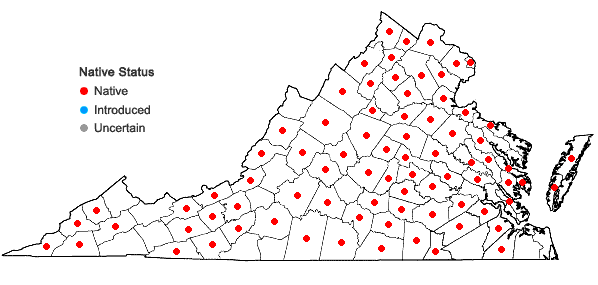 Locations ofBidens comosa (Gray) Wiegand + Bidens connata Muhl. ex Willd. in Virginia