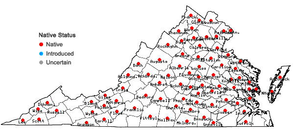 Locations ofBidens comosa (Gray) Wiegand + Bidens connata Muhl. ex Willd. in Virginia