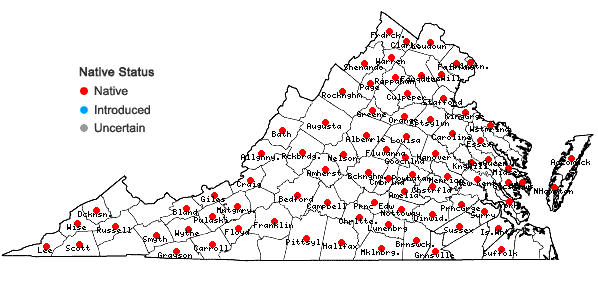 Locations ofBidens comosa (Gray) Wiegand + Bidens connata Muhl. ex Willd. in Virginia