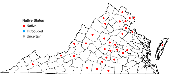 Locations ofBidens comosa (Gray) Wiegand in Virginia