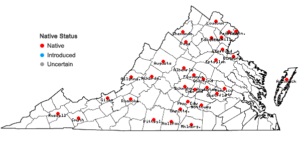 Locations ofBidens comosa (Gray) Wiegand in Virginia