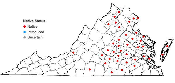 Locations ofBidens connata Muhl. ex Willd. in Virginia