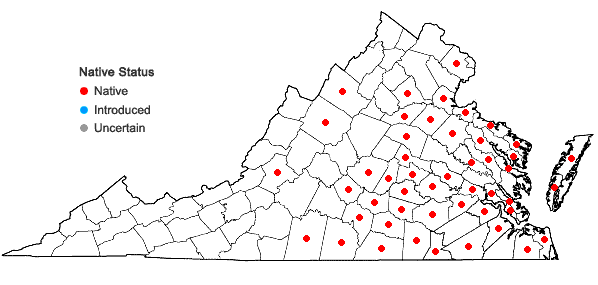 Locations ofBidens discoidea (Torr. & Gray) Britt. in Virginia