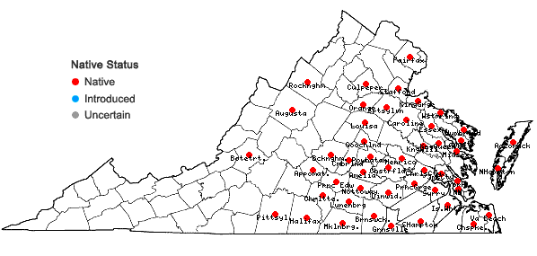 Locations ofBidens discoidea (Torr. & Gray) Britt. in Virginia