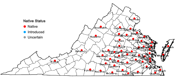 Locations ofBidens discoidea (Torr. & Gray) Britt. in Virginia