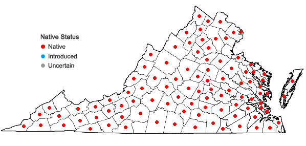 Locations ofBidens frondosa L. in Virginia