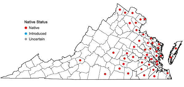 Locations ofBidens laevis (L.) B.S.P. in Virginia