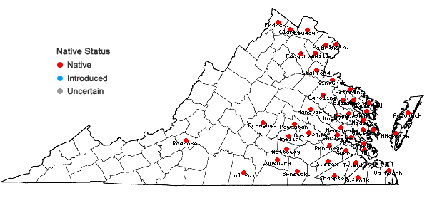 Locations ofBidens laevis (L.) B.S.P. in Virginia