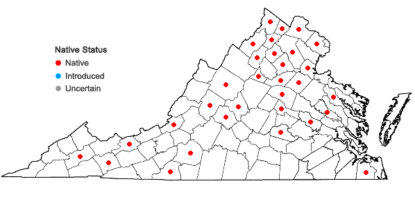 Locations ofBidens vulgata Greene in Virginia