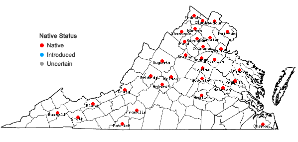 Locations ofBidens vulgata Greene in Virginia