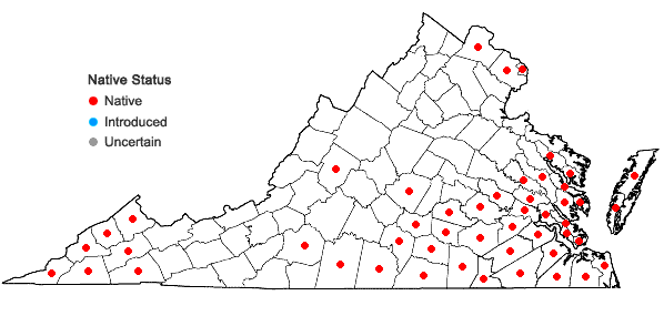 Locations ofBignonia capreolata L. in Virginia