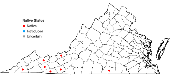 Locations ofBlepharostoma trichophyllum (L.) Dumortier in Virginia