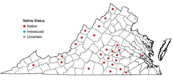Locations ofBlephilia ciliata (L.) Benth. in Virginia