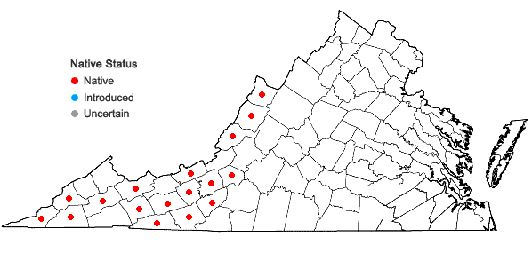 Locations ofBlephilia hirsuta (Pursh) Benth. in Virginia