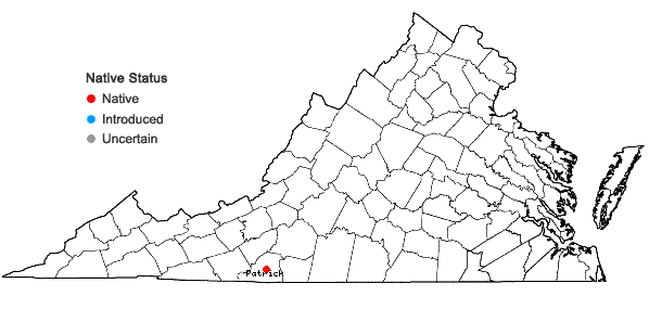 Locations ofBlindia acuta (Hedwig) Bruch & Schimper in Virginia