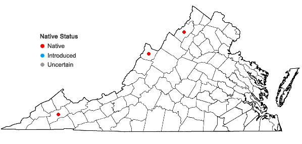 Locations ofBoechera burkii (Porter) Windham & Al-Shehbaz in Virginia
