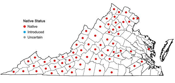 Locations ofBoechera canadensis (L.) Al-Shehbaz in Virginia