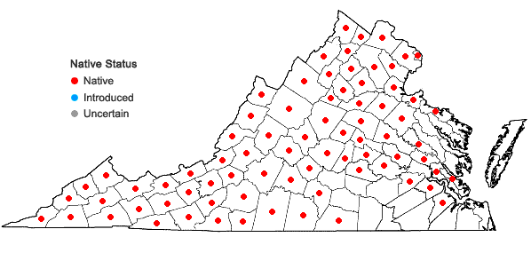 Locations ofBoechera laevigata (Muhl. ex Willd.) Al-Shehbaz in Virginia
