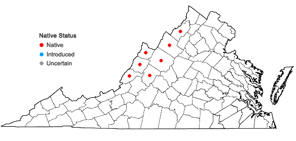 Locations ofBoechera serotina (Steele) Windham & Al-Shehbaz in Virginia