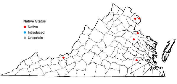 Locations ofBolboschoenus fluviatilis (Torrey) Sojak in Virginia