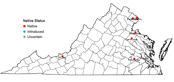 Locations ofBolboschoenus fluviatilis (Torrey) Sojak in Virginia