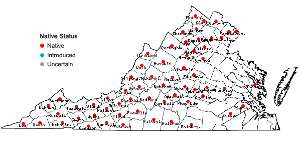 Locations ofBorodinia canadensis (L.) P.J. Alexander & Windham in Virginia