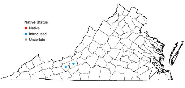 Locations ofBothriochloa bladhii (Retz.) S.T. Blake in Virginia