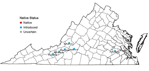 Locations ofBothriochloa ischaemum (L.) Keng in Virginia