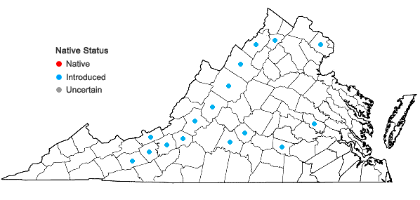 Locations ofBothriochloa torreyana (Steud.) Scrivanti & Antón in Virginia