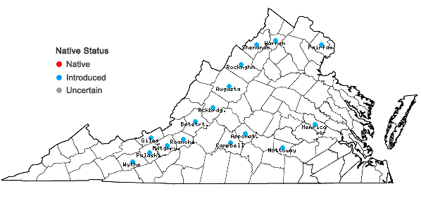 Locations ofBothriochloa torreyana (Steud.) Scrivanti & Antón in Virginia