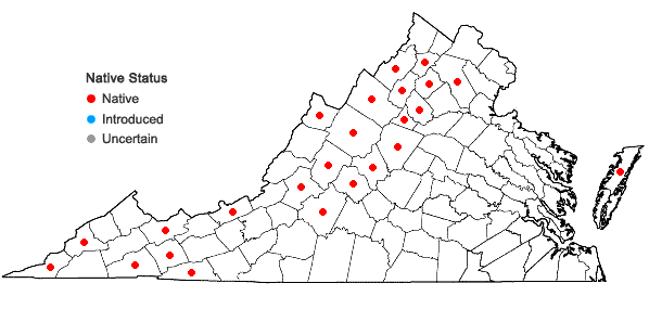 Locations ofBotrychium matricariifolium (Doll) A. Braun ex Koch in Virginia