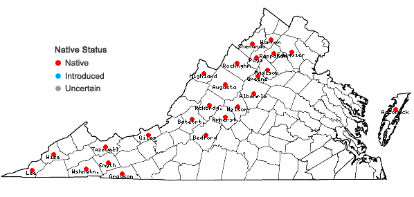 Locations ofBotrychium matricariifolium (Retz.) A.Braun ex W.D.J.Koch in Virginia