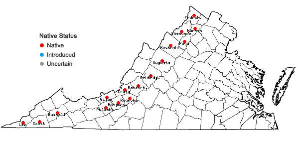 Locations ofBouteloua curtipendula (Michx.) Torr. var. curtipendula in Virginia