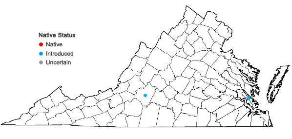 Locations ofBouteloua dactyloides (Nuttall) J.T. Thomas in Virginia