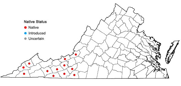 Locations ofBoykinia aconitifolia Nutt. in Virginia